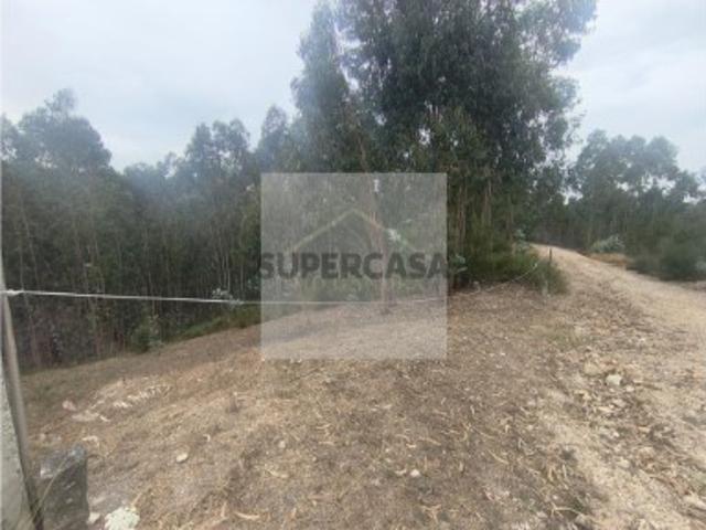 Terreno venda em Marecos
