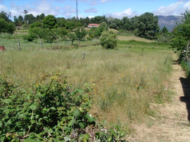 Terreno venda em Vila Real