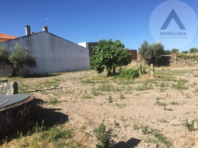 Terreno venda em Castelo Branco