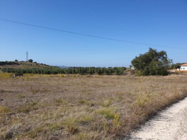 Terreno venda em Batalha, Leiria