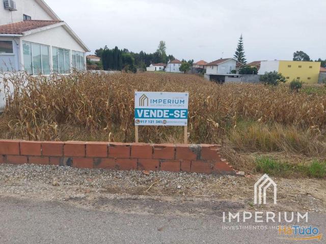 Terreno venda em Albergaria-a-velha, Aveiro