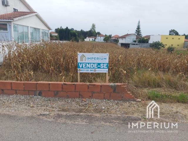 Terreno venda em Casaldima, Albergaria-a-velha
