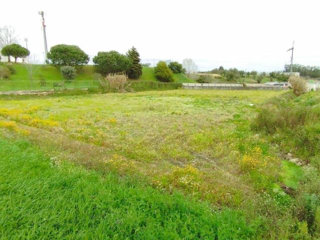 Terreno venda em Montemor-o-velho, Coimbra