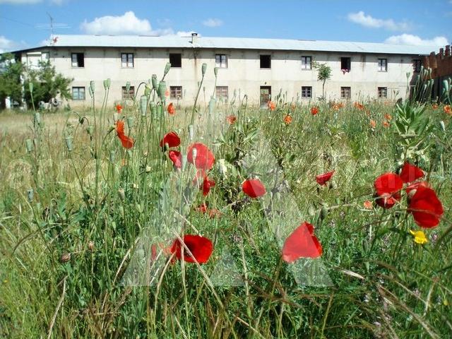 Terreno venda em Anadia, Aveiro