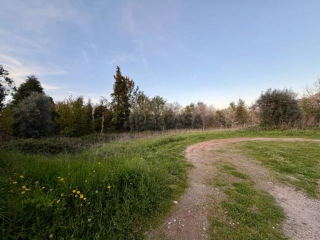 Terreno venda em Águeda, Aveiro