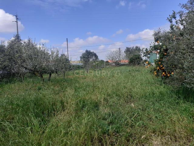 Terreno venda em Montijo, Setúbal