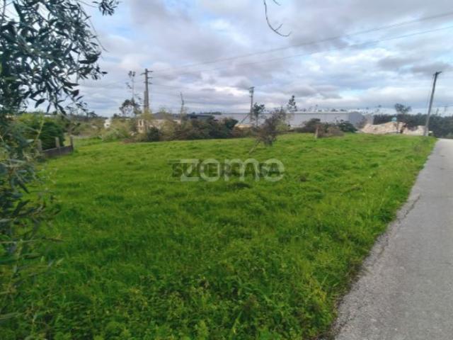 Terreno venda em Leiria