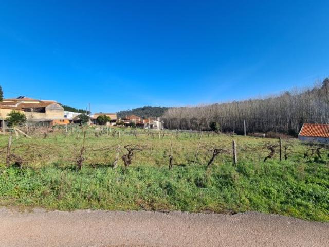 Terreno venda em Quinta do Morangal, Águeda