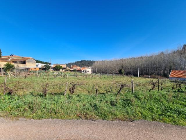 Terreno venda em Quinta do Morangal, Águeda
