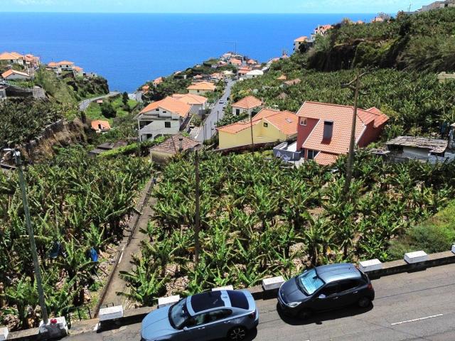 Terreno venda em Ponta Do Sol, Ilha Da Madeira