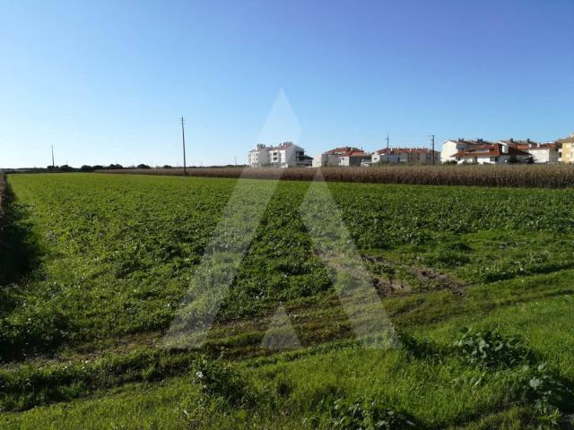Terreno venda em Gafanha do Areão, Ponte De Vagos