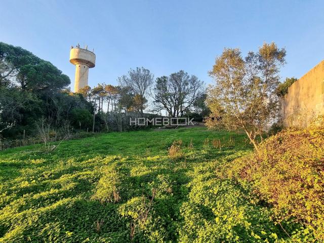 Terreno venda em Tapada das Mercês, Sintra