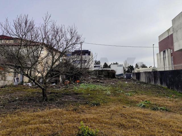 Terreno venda em Porto