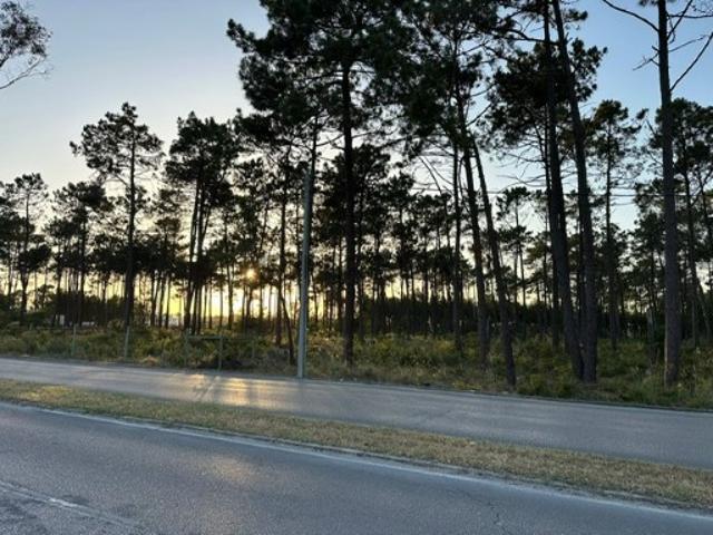 Terreno venda em Quinta de São Nicolau, Seixal