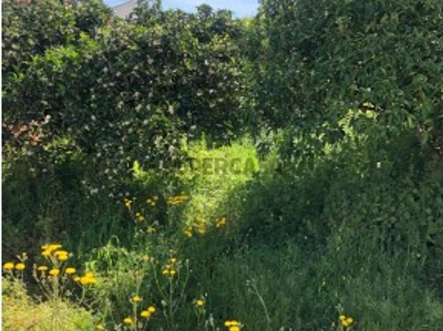 Terreno venda em Vidigueira, Beja