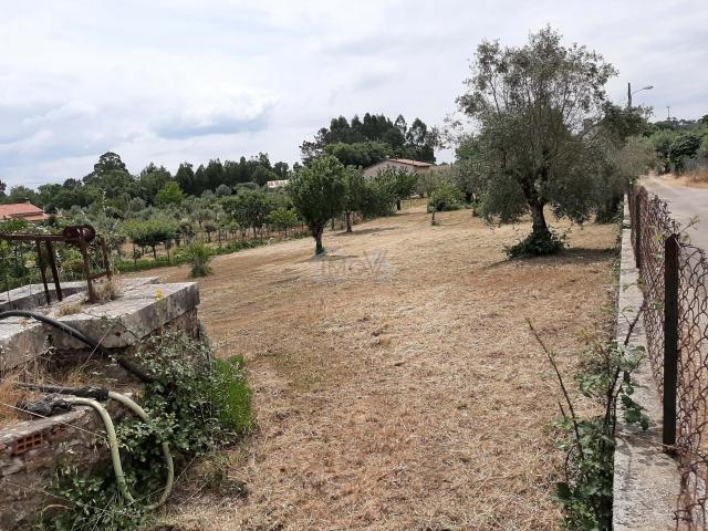 Terreno venda em Chão da Serra, Rego Da Murta