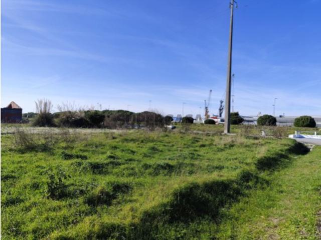 Terreno venda em Ílhavo, Aveiro