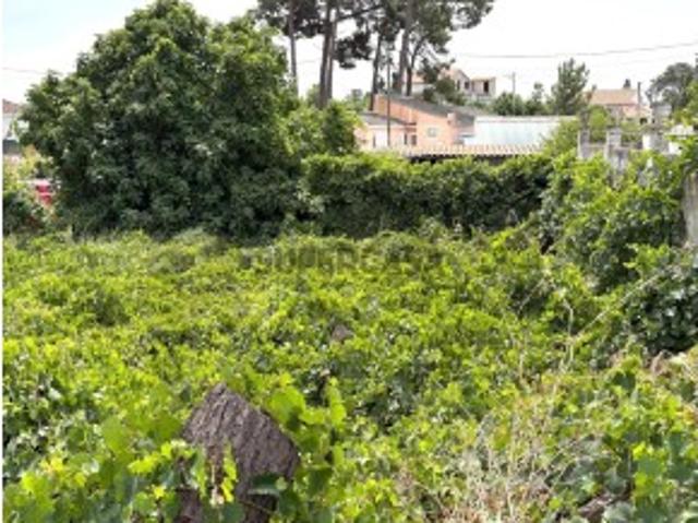 Terreno venda em Sesimbra, Setúbal