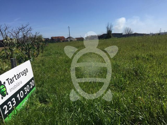 Terreno venda em Figueira Da Foz, Coimbra