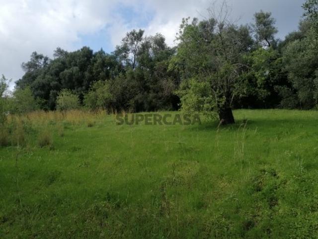 Terreno venda em Loulé, Faro