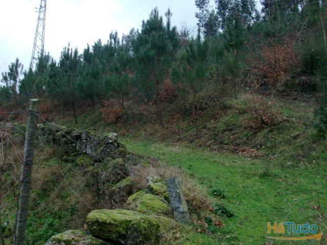 Terreno venda em Parada Do Bouro, Braga