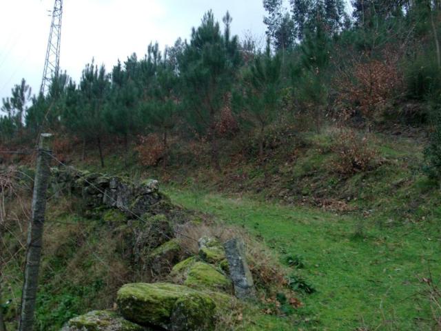 Terreno venda em Alto da Quinta, Parada Do Bouro