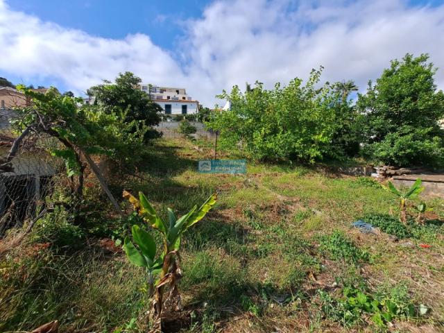 Terreno venda em Funchal, Ilha Da Madeira