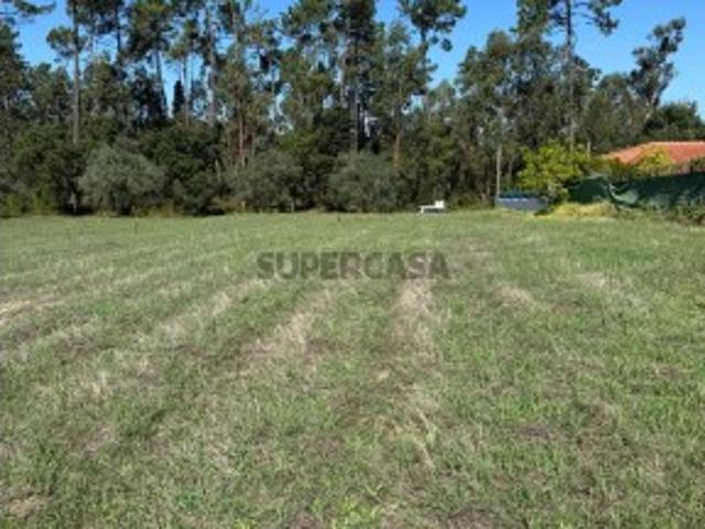 Terreno venda em Pombal, Louriçal