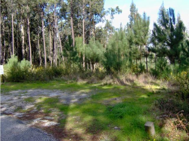 Terreno venda em Outeiro da Fonte, Leiria