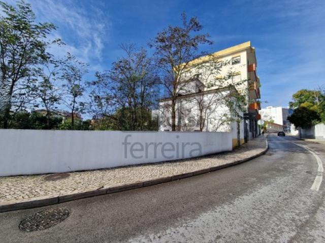 Terreno venda em Santarém
