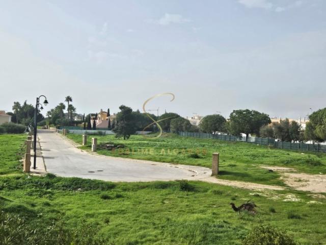 Terreno venda em Torraltinha, Lagos