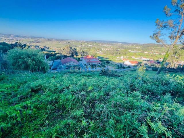 Terreno venda em Alcobaça, Leiria