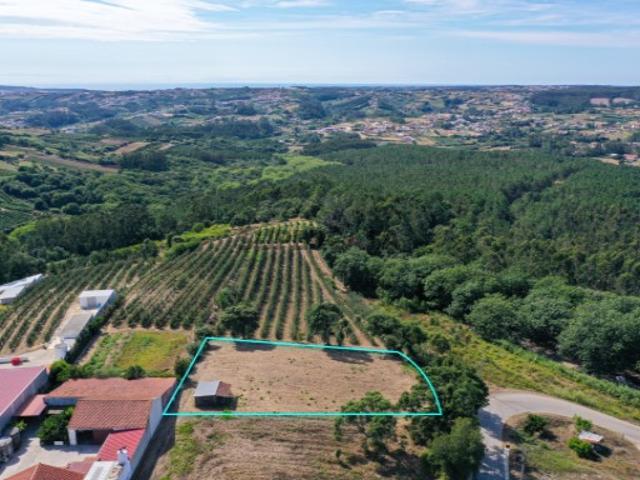 Terreno venda em Alcobaça, Leiria