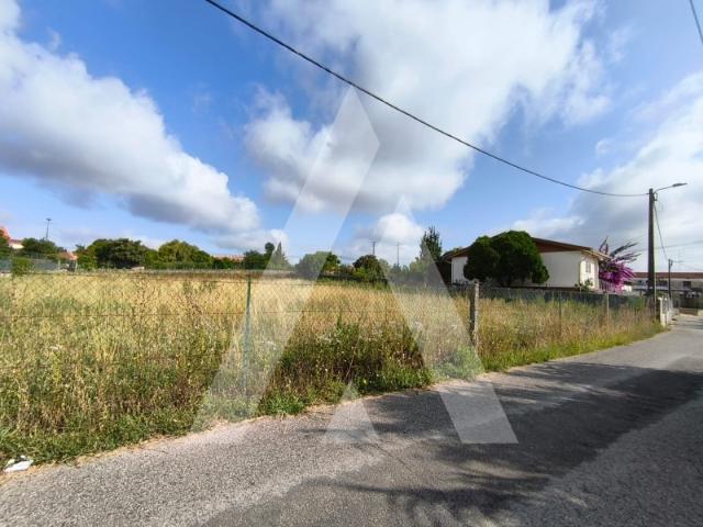 Terreno venda em Oliveira Do Bairro, Aveiro
