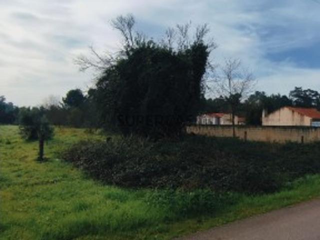Terreno venda em Oliveira Do Bairro, Aveiro