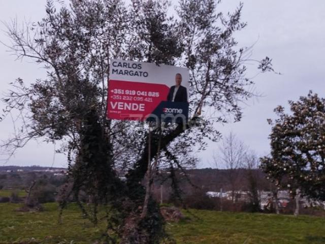 Terreno venda em Mangualde Terreno venda em Mangualde