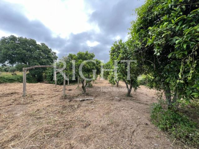 Terreno venda em Almeirim, Santarém