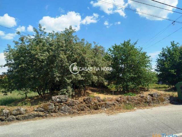 Terreno venda em Viseu