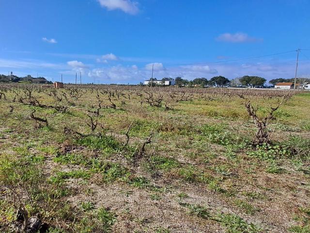 Terreno venda em Bairro Margaça, Palmela