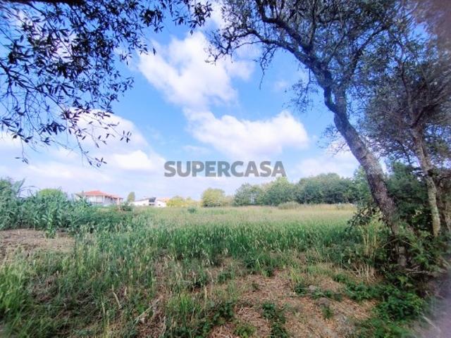Terreno venda em Oliveira do Bairro, Aveiro