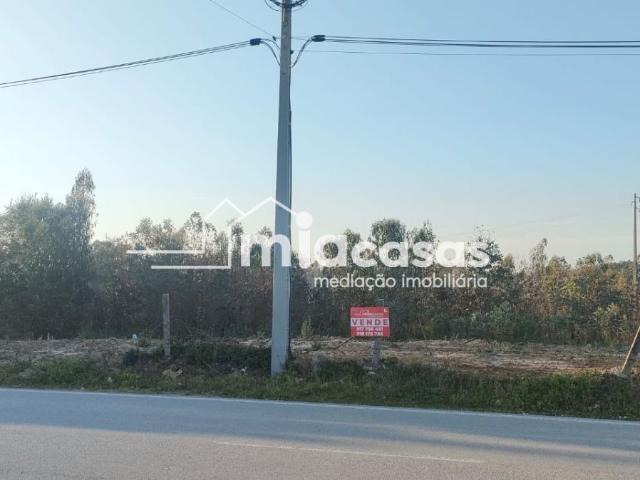 Terreno venda em Pedreira de Vilarinho, Anadia