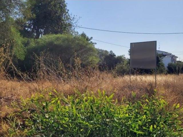 Terreno venda em Guia, Quinta dos Álamos