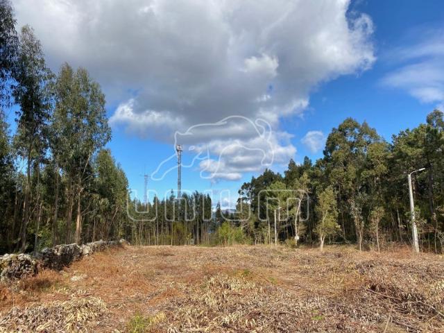 Terreno venda em Caminha (Matriz) e Vilarelho, Arga De Baixo