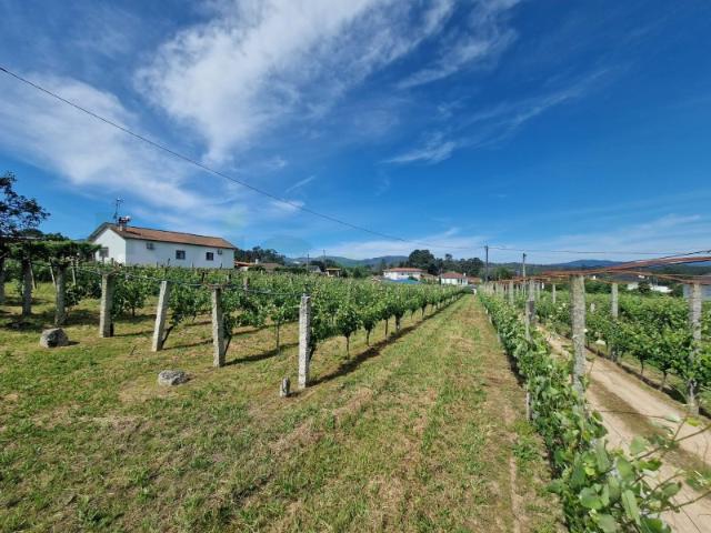 Terreno venda em Monção, Viana Do Castelo