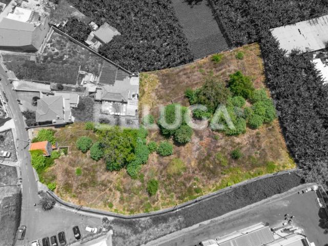 Terreno venda em Funchal, Ilha Da Madeira