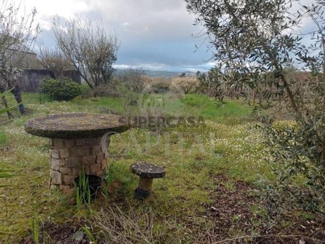 Terreno venda em Tábua, Coimbra