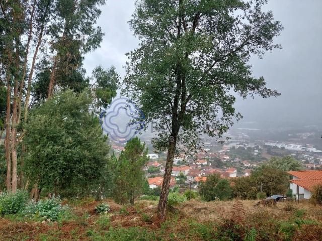 Terreno venda em Santo Tirso, Porto