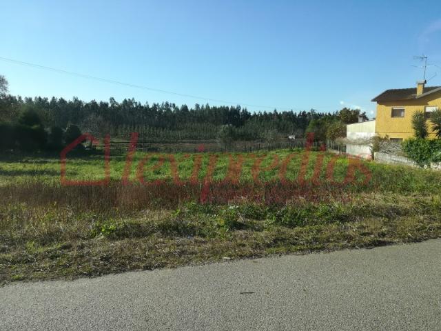 Terreno venda em Cavadas de Baixo, Águeda