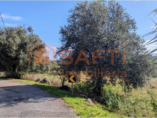 Terreno venda em Pombal, Leiria