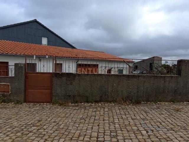 Quinta venda em Castelo Branco
